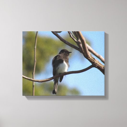 Vinyl Fotobehang - Flycatcher in boom Canvas Afdruk (Voorkant)