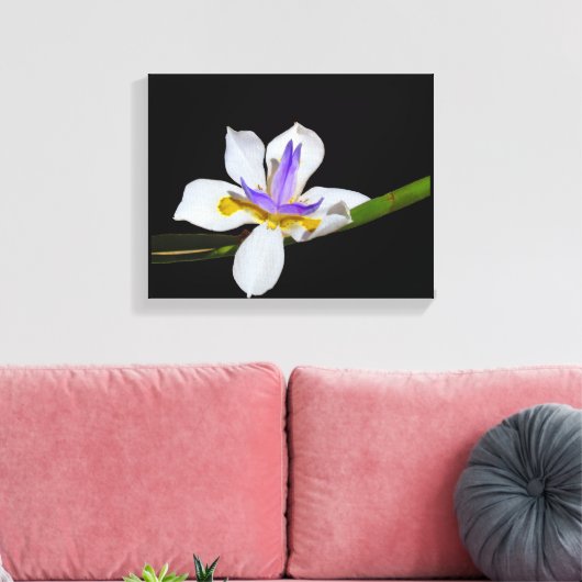 Vinyl Fotobehang - Iris - Fortnight Lily Canvas Afdruk (Insitu (Woonkamer))