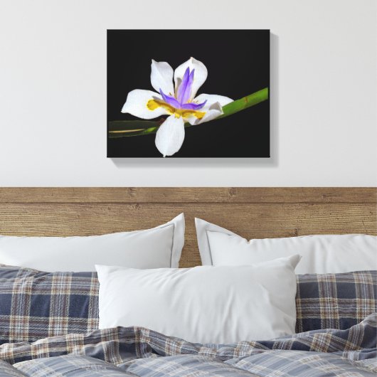 Vinyl Fotobehang - Iris - Fortnight Lily Canvas Afdruk (Insitu (Slaapkamer))