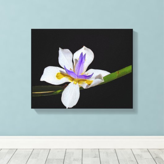 Vinyl Fotobehang - Iris - Fortnight Lily Canvas Afdruk (Insitu (Houten vloer))