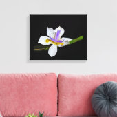 Vinyl Fotobehang - Iris - Fortnight Lily Canvas Afdruk (Insitu (Woonkamer))