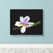 Vinyl Fotobehang - Iris - Fortnight Lily Canvas Afdruk (Insitu (Houten vloer))