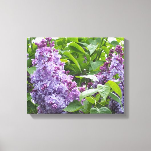 Vinyl Fotobehang Lilacs Canvas Afdruk (Voorkant)
