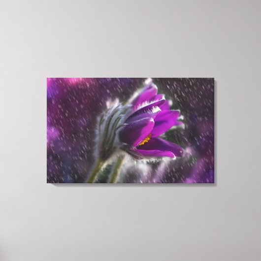 Vinyl Fotobehang - Spring douches Canvas Afdruk (Voorkant)