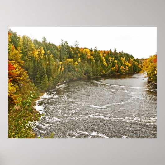 Vinyl Fotobehang/TAHQUAMENON RIVER/GOUD EN GROEN Poster (Voorkant)