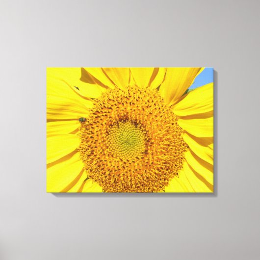 Vinyl Fotobehang - Vlieg op Zonnebloem Canvas Afdruk (Voorkant)