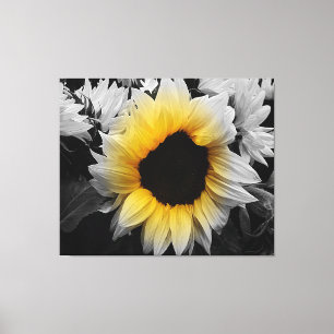 Vinyl Fotobehang - Zonnebloem Canvas Afdruk