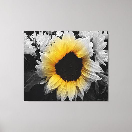 Vinyl Fotobehang - Zonnebloem Canvas Afdruk (Voorkant)
