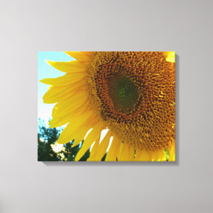 Vinyl Fotobehang - Zonnebloem en bij Canvas Afdruk