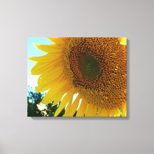 Vinyl Fotobehang - Zonnebloem en bij Canvas Afdruk (Voorkant)