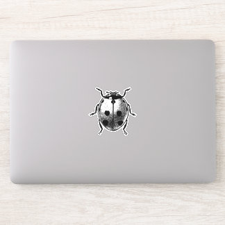 Vinyl Sticker  grafisch afbeelding lieveheersbeest