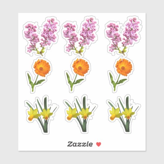 Vinyl Sticker - Lentebloemen (Vel)
