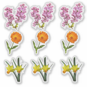 Vinyl Sticker - Lentebloemen
