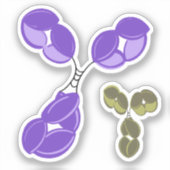 Vinyl sticker - paarse IgG (antilichaam) w / bonus (Voorkant)