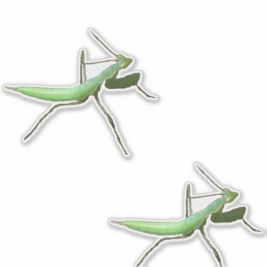 Vinyl Sticker - Preying Mantis (Voorkant)