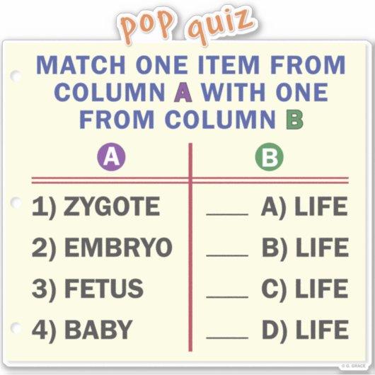 Vinyl sticker with a quiz. (Voorkant)