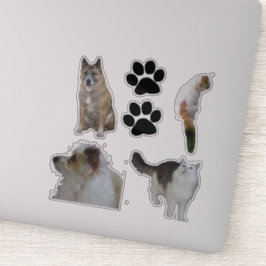 VinylSticker - Katten en honden Sticker
