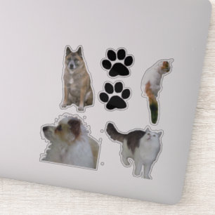 VinylSticker - Katten en honden Sticker
