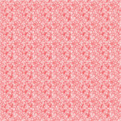 Vinylsticker op maat gesneden sticker (Voorkant)