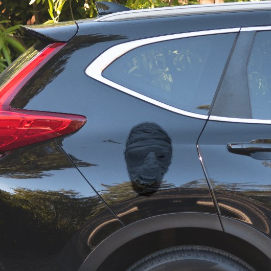 Vinylsticker op maat gesneden sticker (Auto Zijkant)