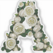 Vinylsticker op maat gesneden sticker (Voorkant)