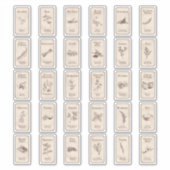 Vinylsticker op maat gesneden sticker (Voorkant)