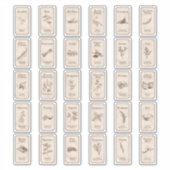 Vinylsticker op maat gesneden sticker (Voorkant)