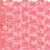 Vinylsticker op maat gesneden sticker (Voorkant)