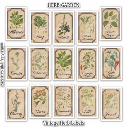 Vinylstickers knippen -  kruidenlabels sticker (Voorkant)
