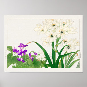 Viola, Arabische sterbloem door Tanigami Konan Poster