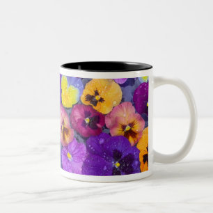 Viola bloemen drijvend in vogelbad met dauw tweekleurige koffiemok