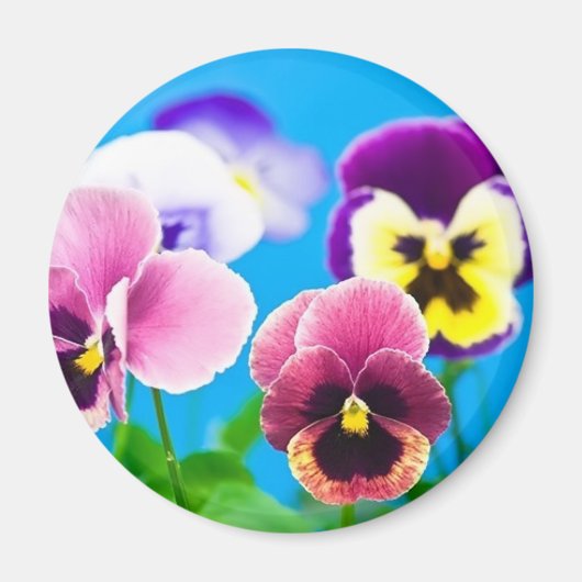Viola bloemen magneet (Voorkant)