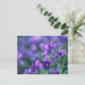 Viola Briefkaart (Staand voorkant)