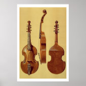 Viola d'Amore, 18e eeuw, uit 'Musical Instrum' Poster (Voorkant)