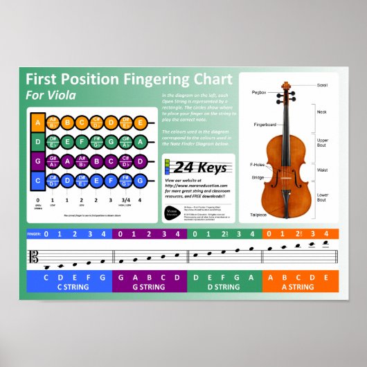 Viola Fingering Chart Poster (Voorkant)