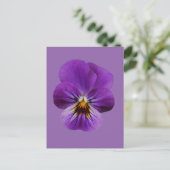 Viola Flower Briefkaart (Staand voorkant)