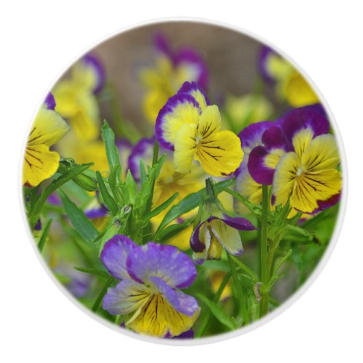 Viola keramische knop (Voorkant)