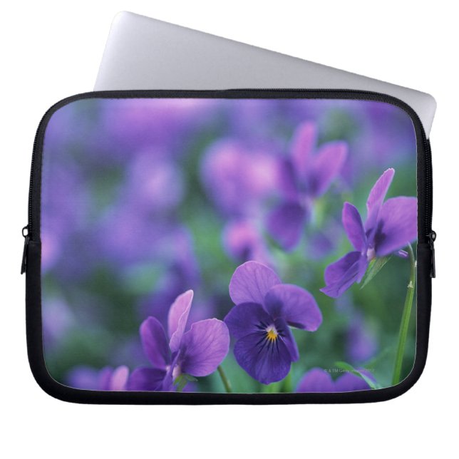 Viola Laptop Sleeve (Voorkant)