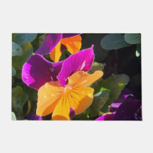 Viola Oranje en Paars