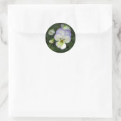Viola Pansy ~ Lavendel Cream Ronde Sticker (Tas)