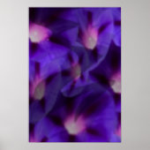 Viola Skys Poster (Voorkant)