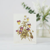 Viola Tricolor Briefkaart (Staand voorkant)