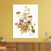 Viola Tricolor Canvas Afdruk (Insitu (Woonkamer))