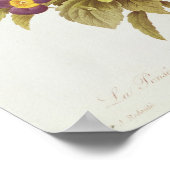 Viola Tricolor Poster (Hoek)