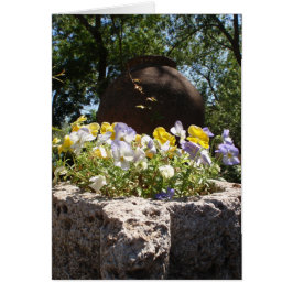 Violas In Een Stenen Bak.