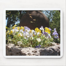 Violas In Een Stenen Bak.