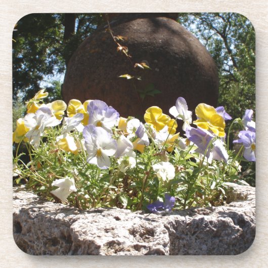 Violas In Een Stenen Bak. Onderzetter (Voorkant)