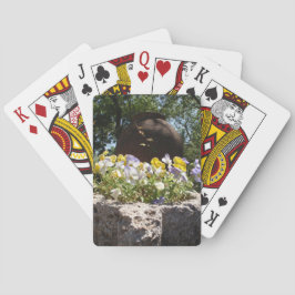 Violas In Een Stenen Bak. Pokerkaarten