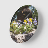 Violas In Een Stenen Bak. Ronde Klok (Hoek)