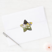 Violas In Een Stenen Bak. Ster Sticker (Envelop)